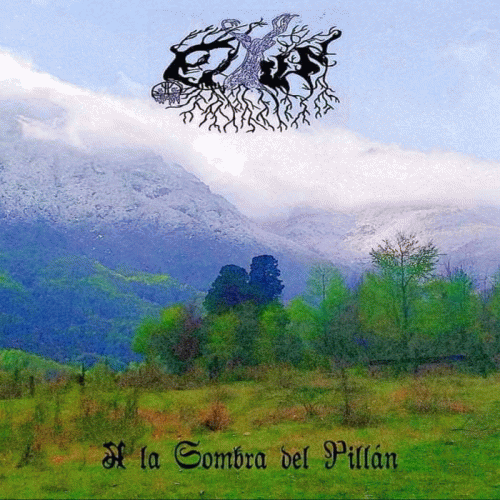 A la Sombra del Pill​á​n